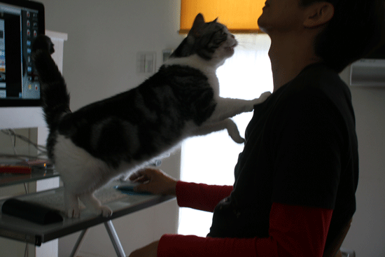 c0011300_14005202.gif