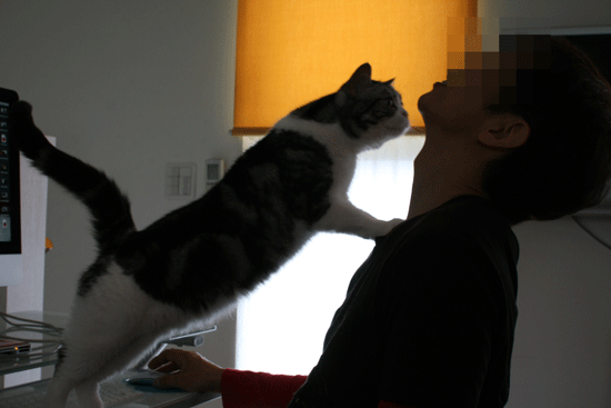 c0011300_14005301.gif