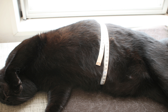 c0011300_14020444.gif