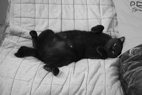 c0011300_14020857.gif