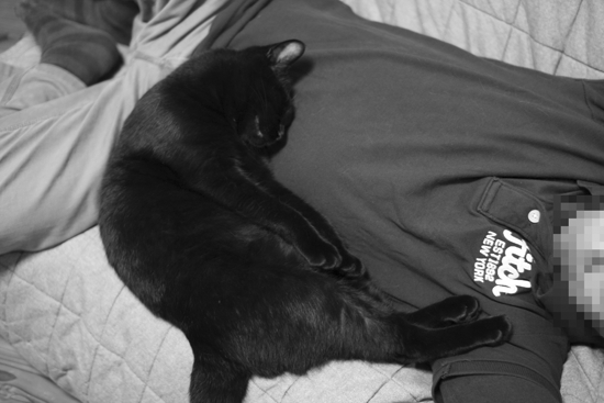 c0011300_14020902.gif