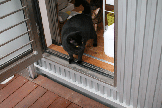 c0011300_14021959.gif