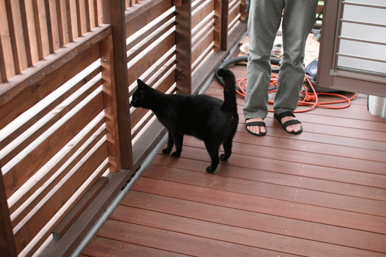 c0011300_14022031.gif