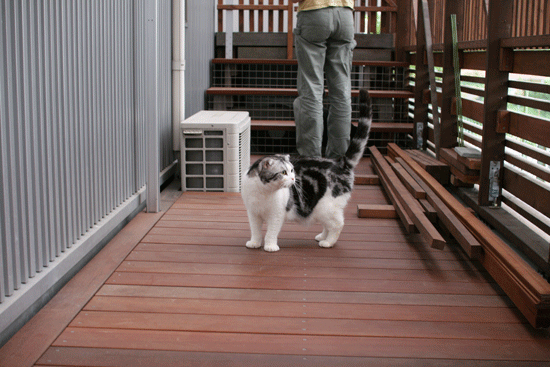 c0011300_14022272.gif