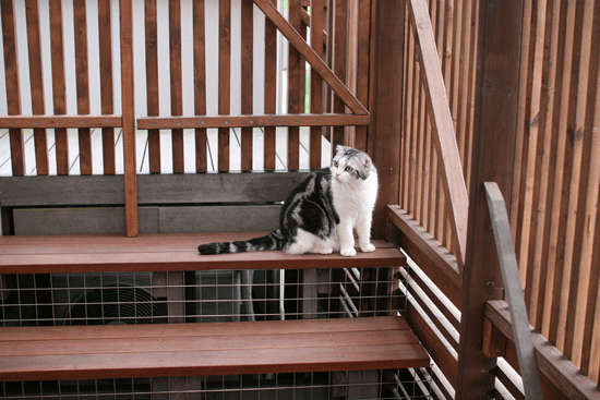 c0011300_14022859.gif