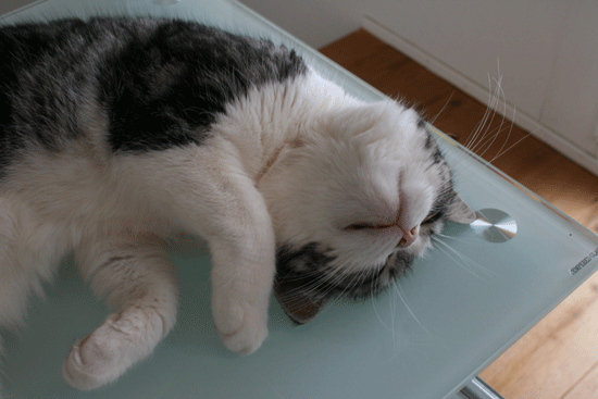 c0011300_14023111.gif