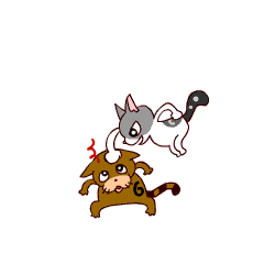 c0011300_14032097.gif