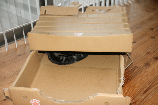 c0011300_14034346.gif