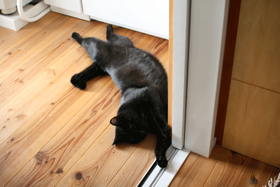 c0011300_14035894.gif