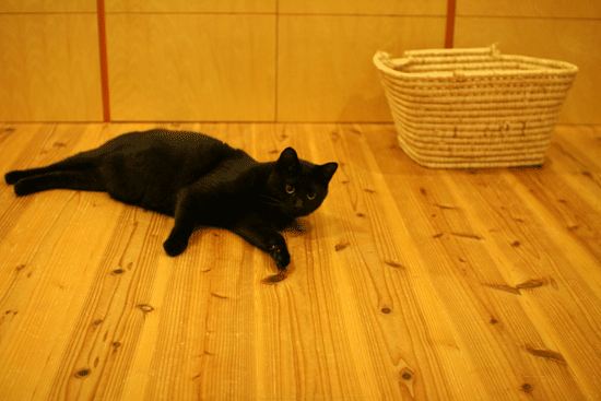 c0011300_14041086.gif