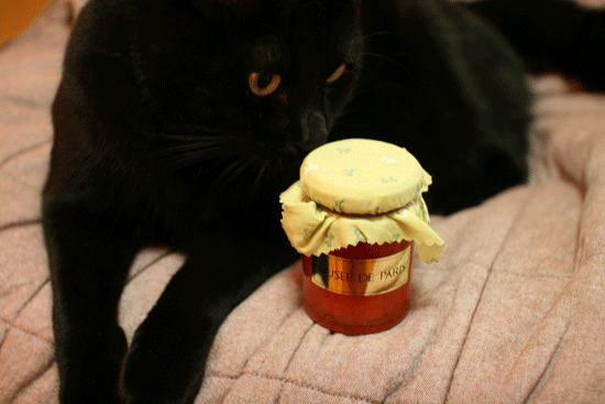 c0011300_14044398.gif