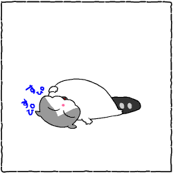c0011300_14044749.gif