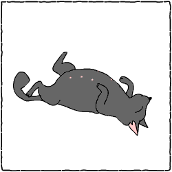 c0011300_14045058.gif