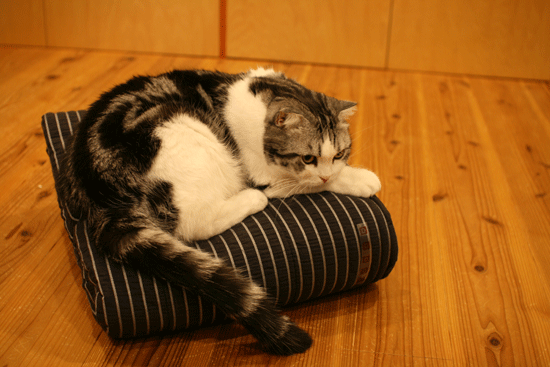 c0011300_14050880.gif