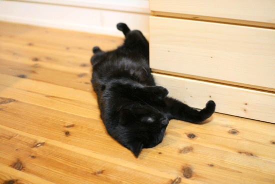 c0011300_14051239.gif