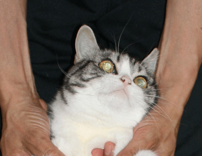 c0011300_14051590.gif
