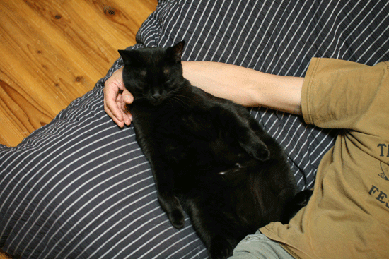 c0011300_14061200.gif