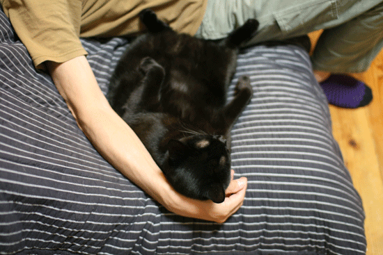 c0011300_14061329.gif