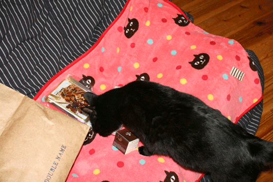 c0011300_14070642.gif