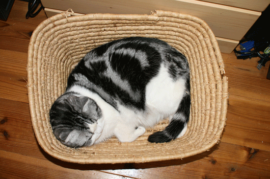 c0011300_14073354.gif