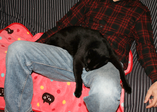 c0011300_14073770.gif