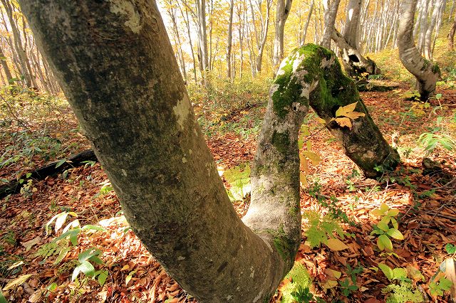 e0137200_23112418.jpg