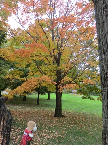 f0256400_10361285.jpg