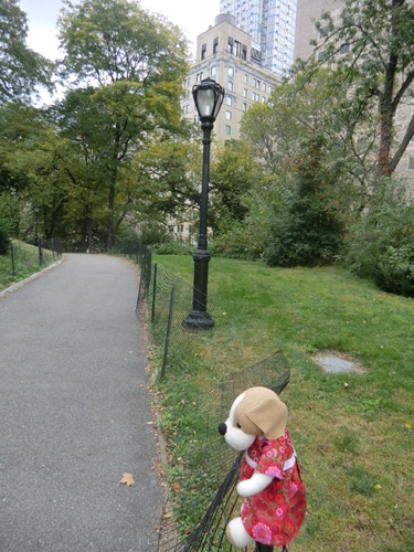 f0256400_1036947.jpg