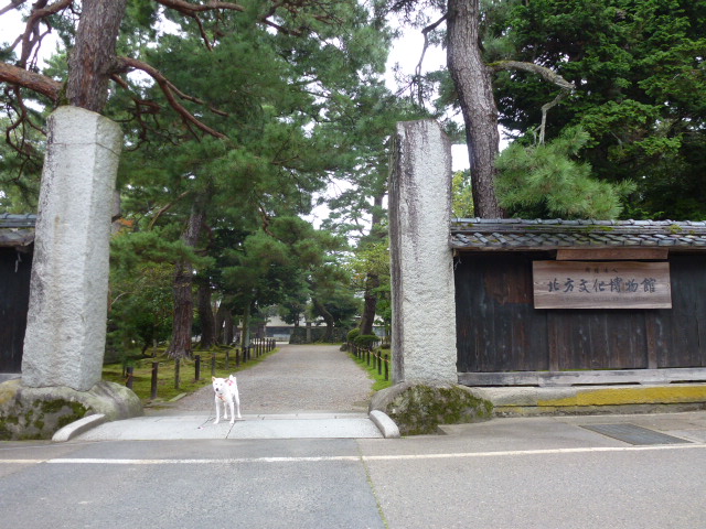 d0293002_213639.jpg