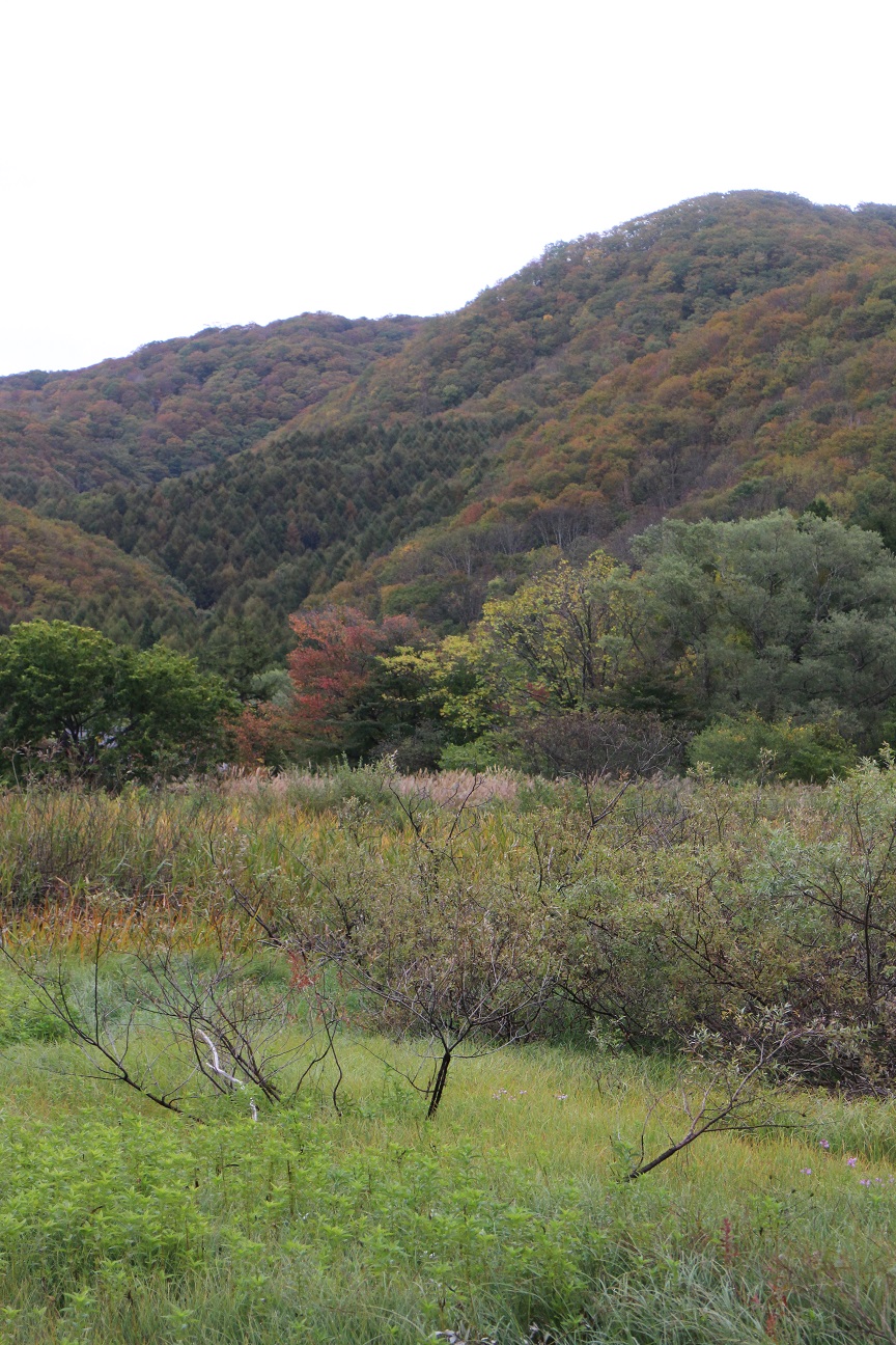 f0034602_20413736.jpg