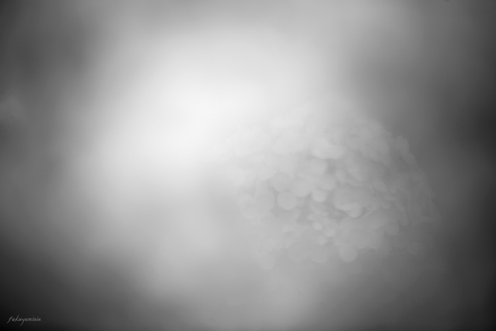 f0185802_15321467.jpg