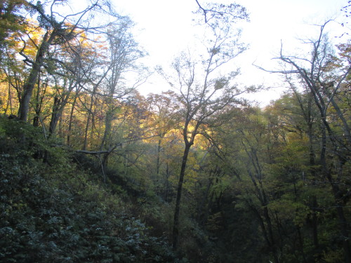 e0242504_17024683.jpg