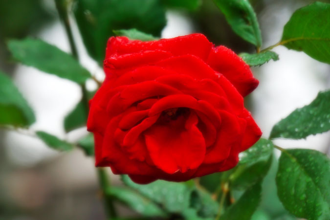 a0263109_17391544.jpg