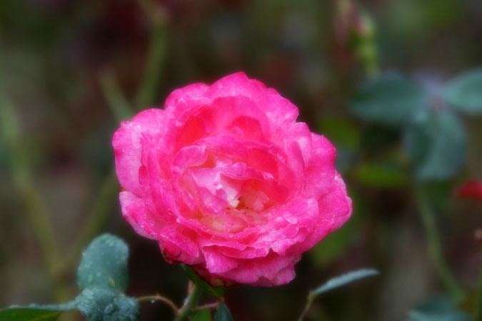 a0263109_17392785.jpg