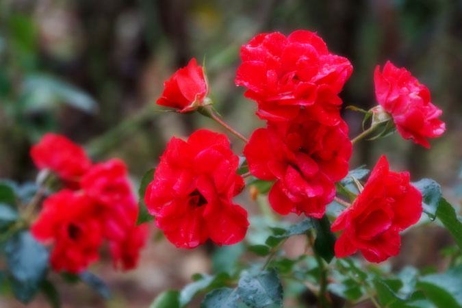 a0263109_17393484.jpg
