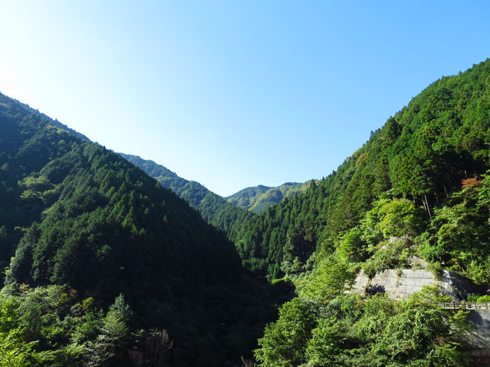 e0077010_9231017.jpg