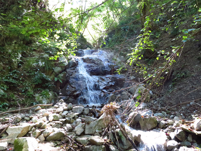e0077010_925249.jpg