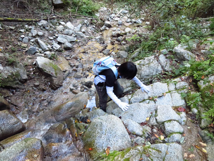 e0077010_9271539.jpg