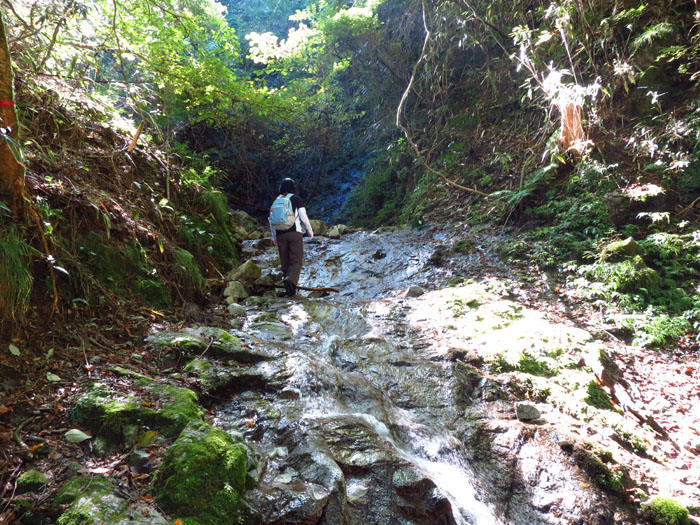 e0077010_9302210.jpg