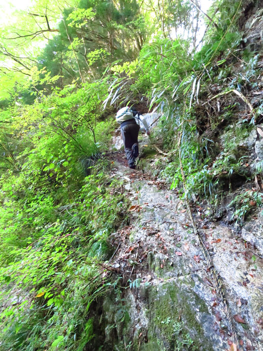 e0077010_9393856.jpg
