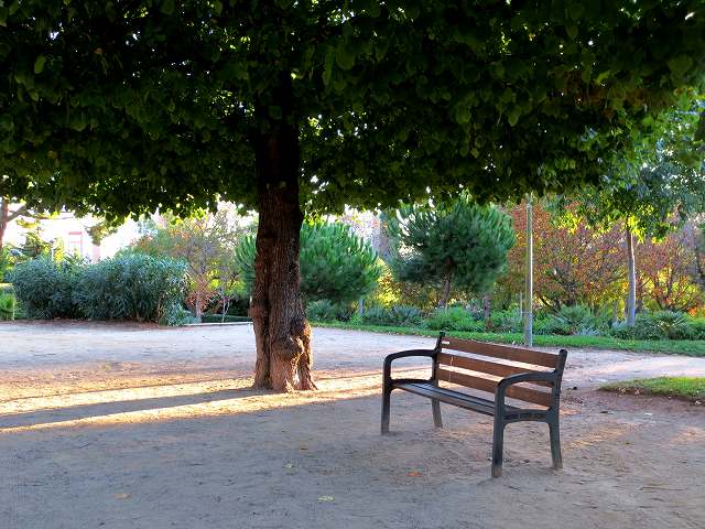 b0064411_05583241.jpg