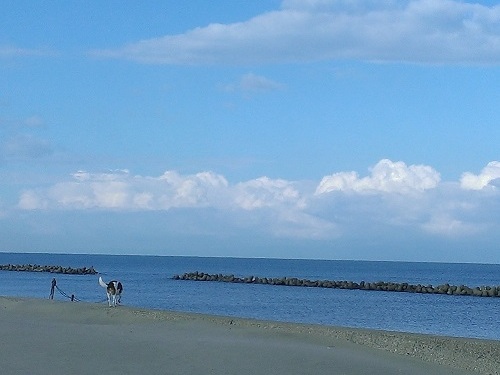 c0084117_14215624.jpg