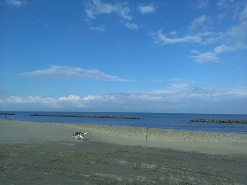 c0084117_1421826.jpg