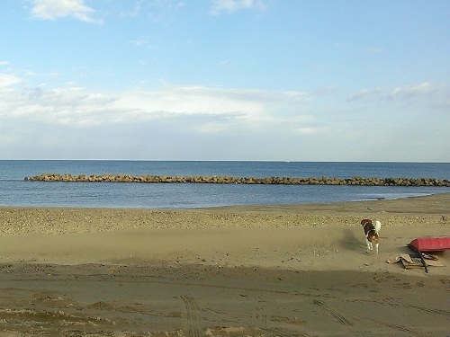 c0084117_1427138.jpg