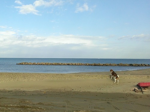 c0084117_14271392.jpg