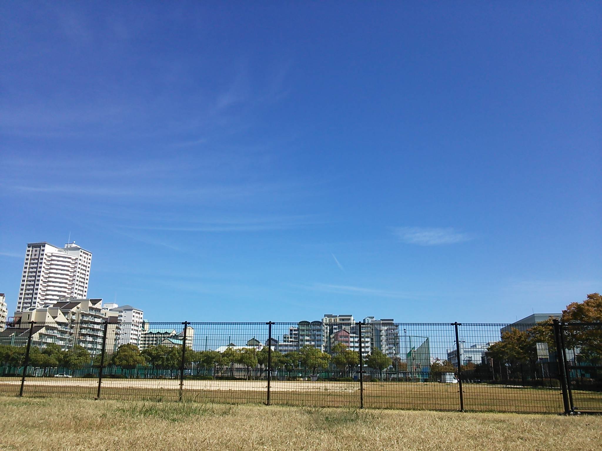 e0179321_16102756.jpg