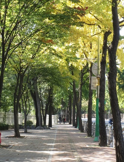 e0201021_2153178.jpg