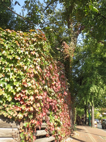 e0201021_21583625.jpg