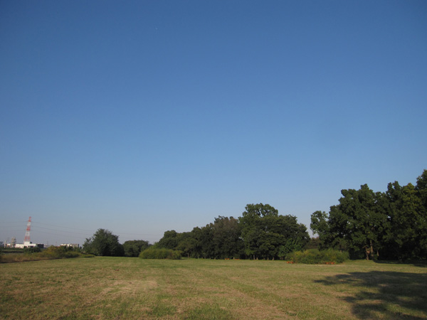 e0244621_2145222.jpg