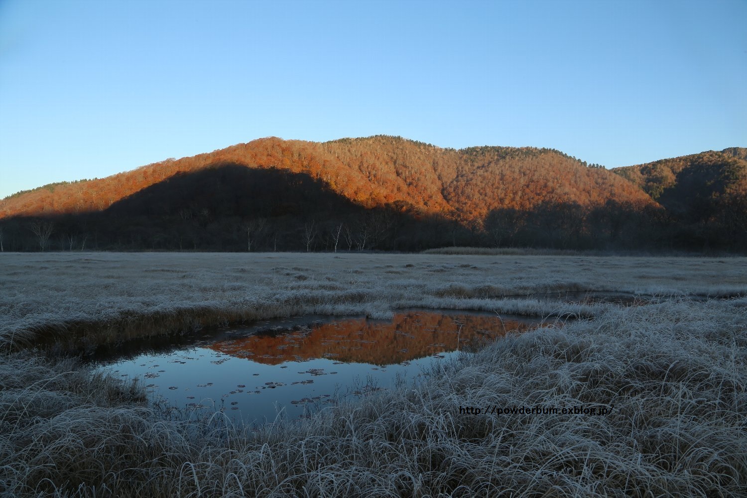 b0062024_225748.jpg